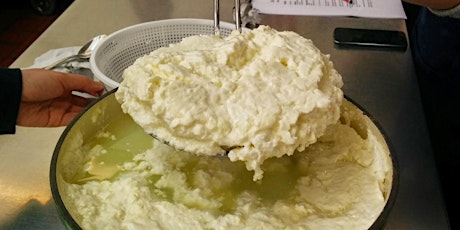 SOLD OUT: Yogurt & Cheesemaking primary image