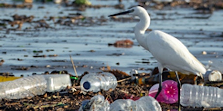 Two-Part Program, Beyond the Water Bottle: Microplastic Pollution Challenge tickets
