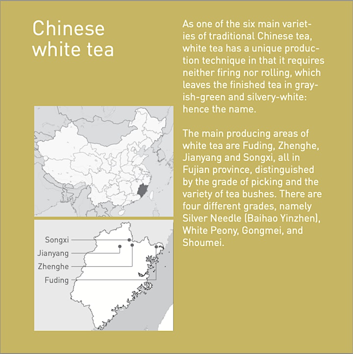 Nice Tea Meet You-Exclusive Chinese White Tea Tasting & Collecting image