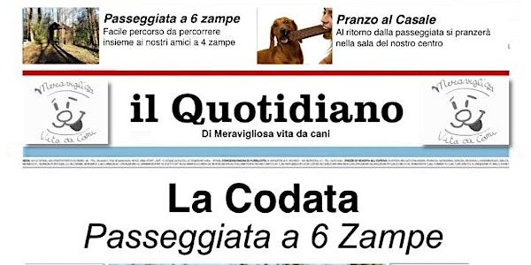La Codata