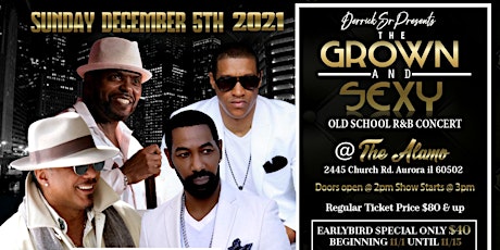 The Grown and Sexy Old School R&B Concert