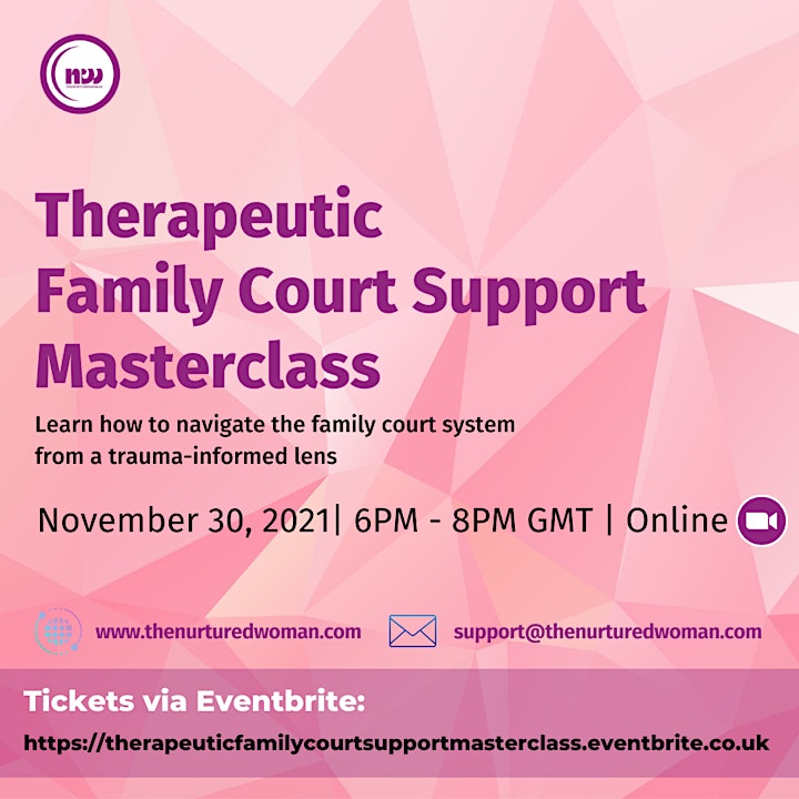 Therapeutic Family Court Support Masterclass image