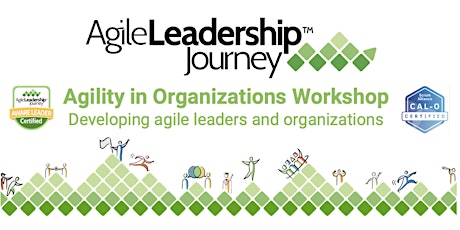 Agility in Organizations Workshop  for APAC Feb 21-25, 2022 primary image