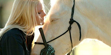 Coherence Healing with Horses - Unleash the True You
