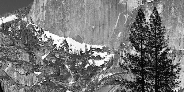 National Parks Today and Tomorrow