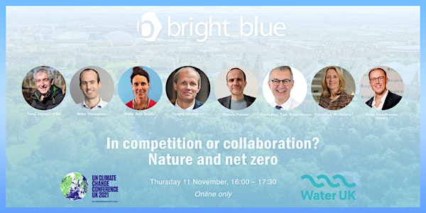 In competition or collaboration? Nature and net zero