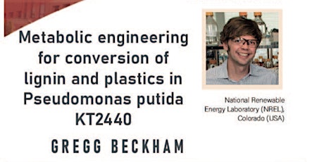 Metabolic engineering for conversion of lignin and plastics in P. Putida tickets