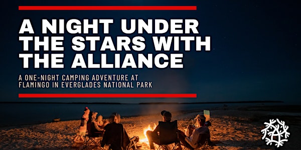A Night Under the Stars at Everglades National Park