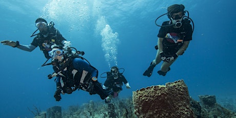 Veterans Ocean Adventures Sponsored Boat Dive - Thursday, 11 Nov  1 PM primary image