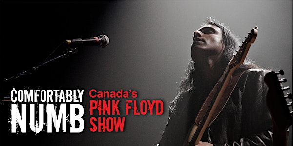 NEW DATE: Comfortably Numb – Canada’s Pink Floyd Show: SHINE ON TOUR 2022
