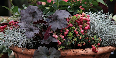 Autumn and Winter Hardy Container With Jacky and Peter Richardson tickets