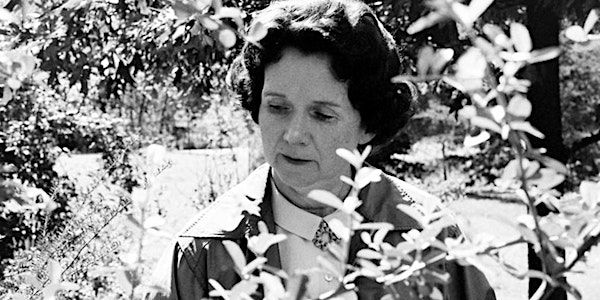 Rediscovering Rachel Carson