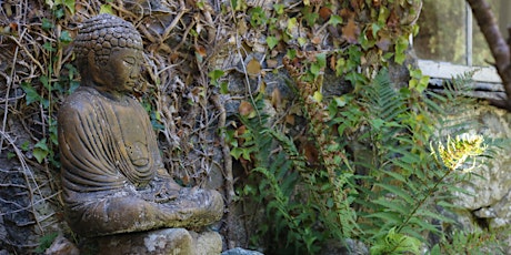 Imagen principal de Summer Mandala Gathering