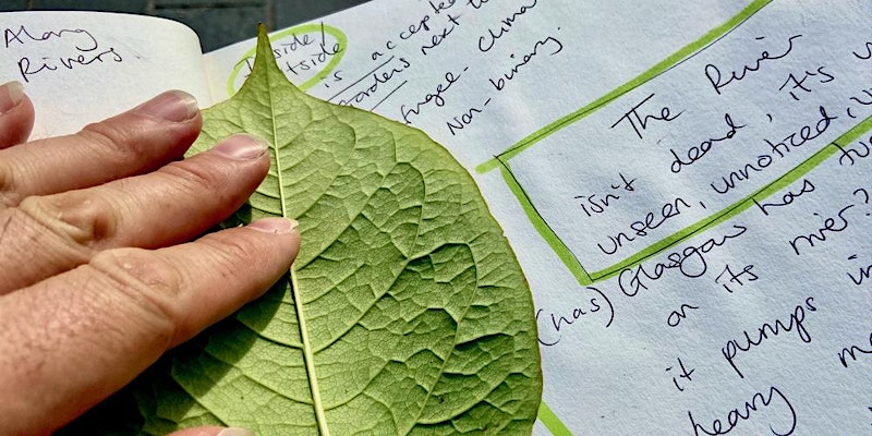 Fingers press a leaf to a sheet of paper filled with notes