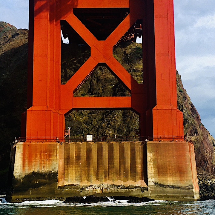 Marine Wildlife and Ecology - Sail under the Golden Gate Bridge  2022 image