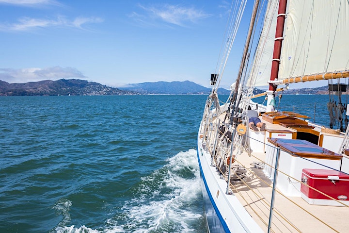 Marine Wildlife and Ecology - Sail under the Golden Gate Bridge  2022 image