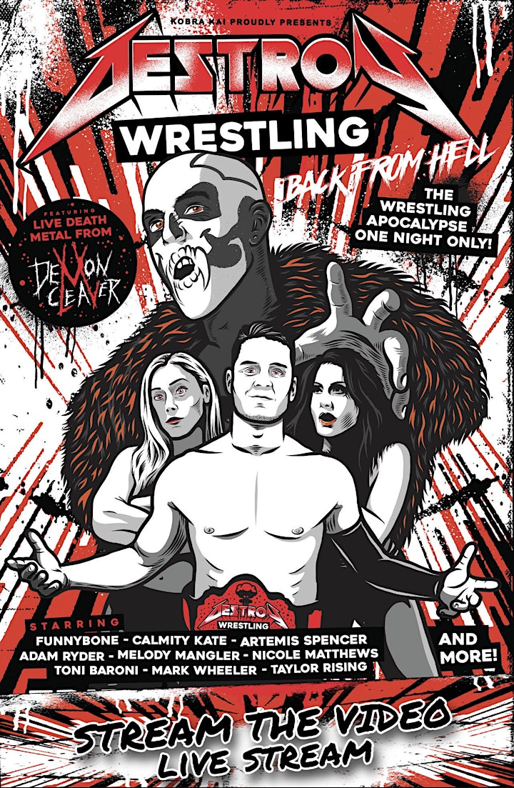 
		Destroy Wrestling: Back From Hell - Virtual Encore image
