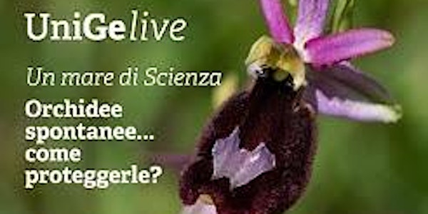 UN MARE DI SCIENZA - Sos orchidee spontanee...come proteggerle?