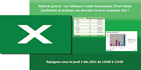 Hauptbild für Les tableaux croisés dynamiques Excel