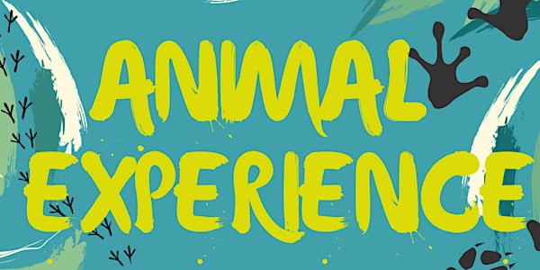 Animal Experience 2021