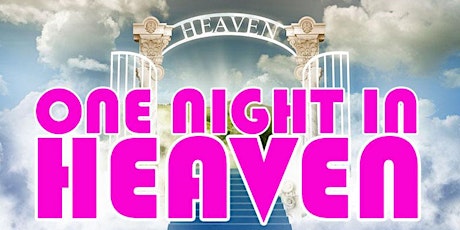 One Night in Heaven primary image