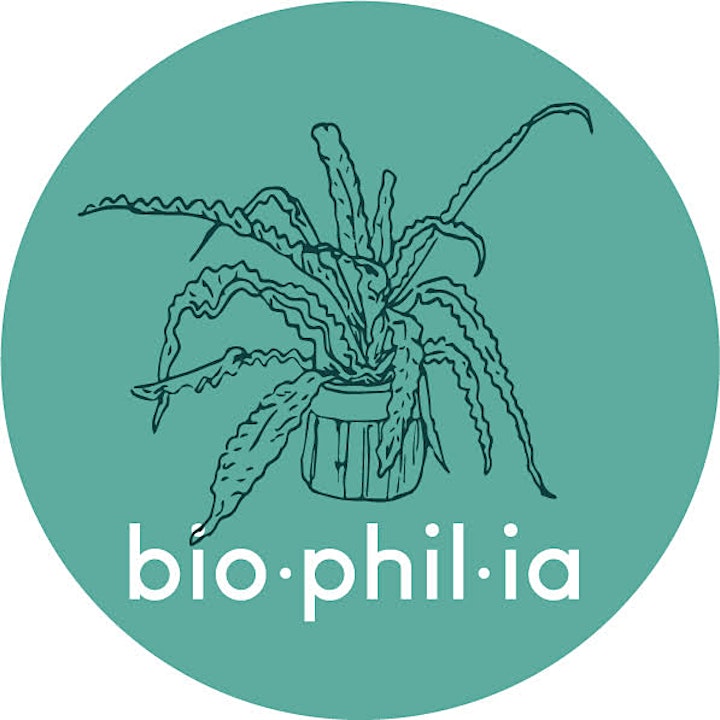A Festive Terrarium  Workshop: Biophilia Manchester image