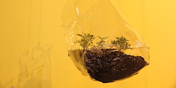 Green Drinks at Artspace - drinks, talks and screening : 'Containment' (201...