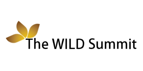 2016 WILD Summit IV  – Impact! primary image