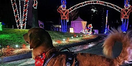 Tail Lights: Walk Your Dogs Through Symphony of Lights primary image