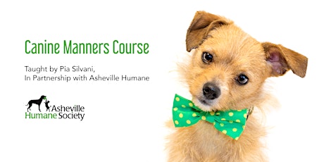 Canine Manners Course tickets