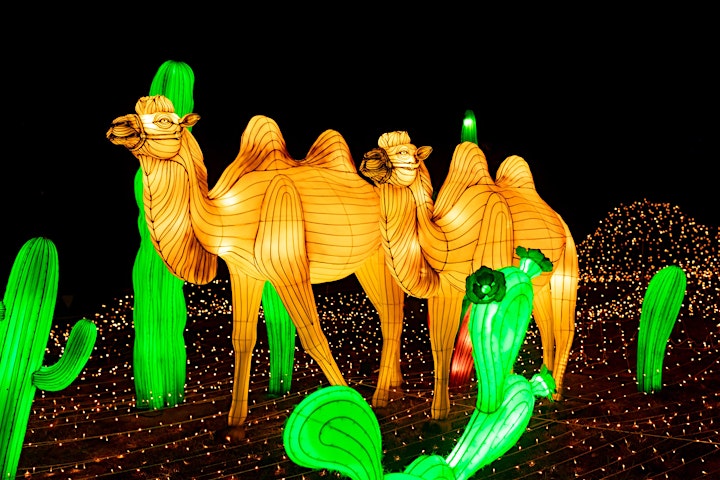LuminoCity Festival Holiday Lights at Roer's Zoofari image