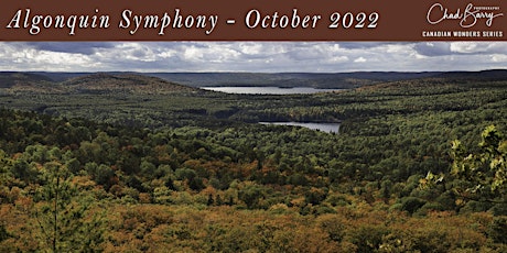 Canadian Wonders | Algonquin Symphony - Photo Workshop - Autumn 2022 primary image