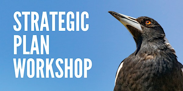 Bellarine Catchment Network: Strategic Plan Workshop