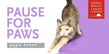 Pause for Paws - Yoga Event primary image