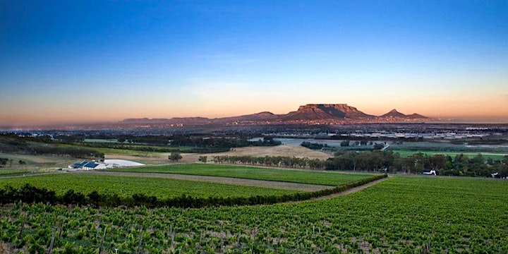 Springbok Wines Presents: A South African Wine Experience at  Aria Italian image