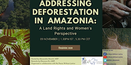 Addressing Deforestation in Amazonia: a  Land Rights & Women's Perspective