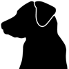 Logotipo da organização Black Dog Wine Company