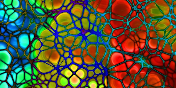 Feed Your Microbiome for Digestive and Immune Support