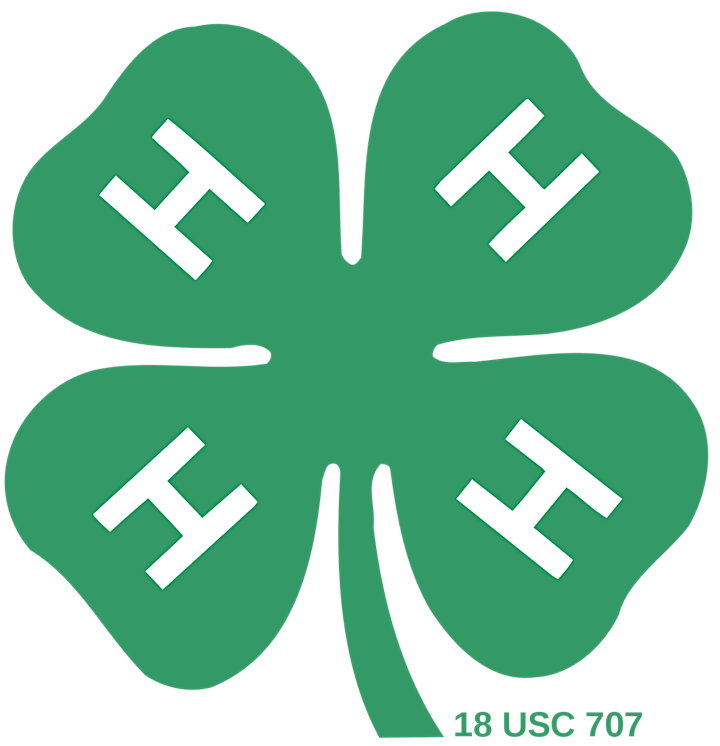 
		4-H Tech Changemakers: FREE Digital Literacy Sessions image
