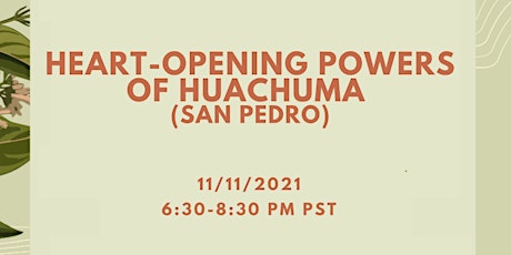 Heart-opening Powers of Huachuma (San Pedro)