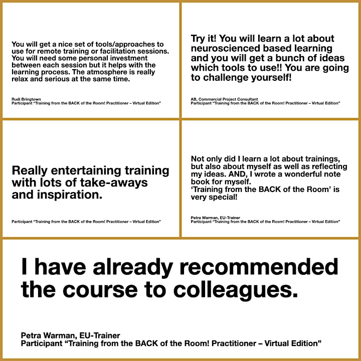 Training from the BACK of the Room Practitioner - Virtual Edition, English image