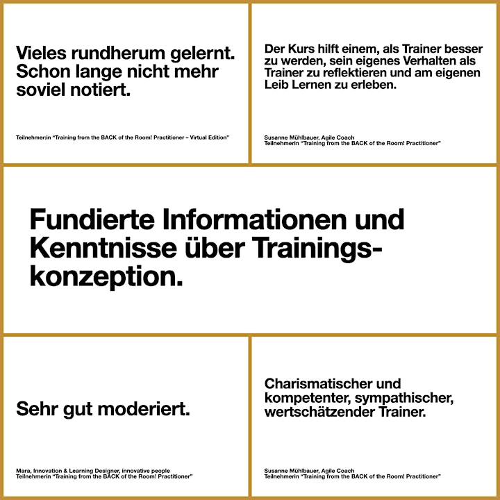 Training from the BACK of the Room Practitioner - Virtual Edition, Deutsch: Bild 