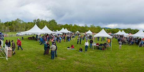 Fort Love Brewers Jamboree May 21, 2016 primary image