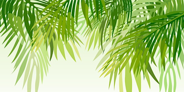Sustainability: Beyond the Haze and the Spin
