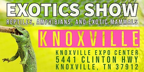 Knoxville Reptile Expo Show Me Reptile & Exotics Show