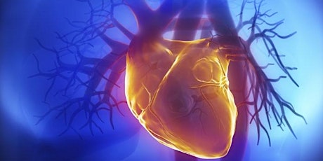 Heart Failure Update Including Device Therapy primary image