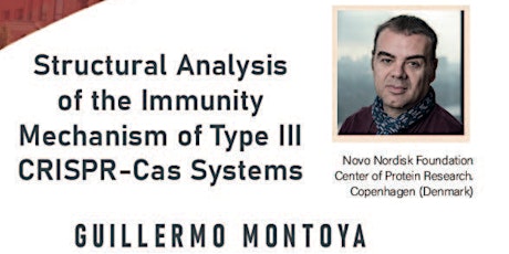 Structural analysis of the Immunity Mechanism of Type III CRISPR-Cas system entradas