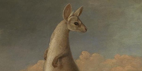 The Kangaroo and Moose: Australian Animals Tour primary image