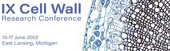 IX Cell Wall Research Conference 2022 image
