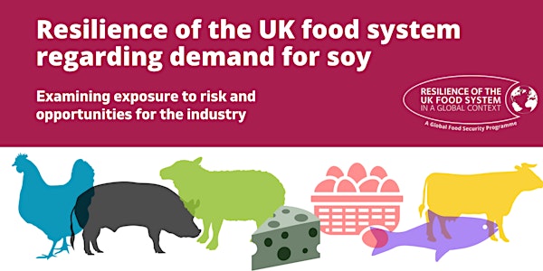 Webinar: Resilience of the UK food system regarding demand for soy
